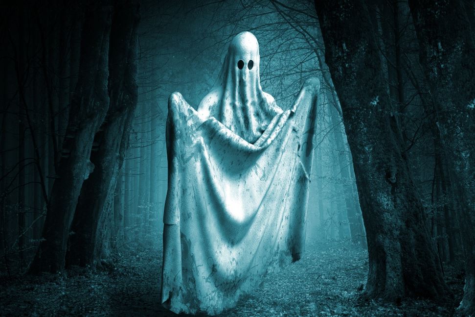 Do Ghost Exist