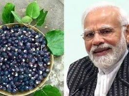 PM Modi Favourite Fruit