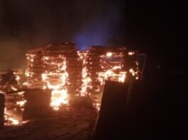 Fire Caught in Uttarakashi