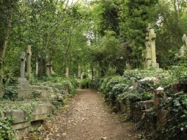 Highgate Cemetery Vampire
