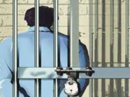cricketer arrested in dehradun