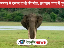 TUSKER ELEPHANT DIED IN RAMNAGAR