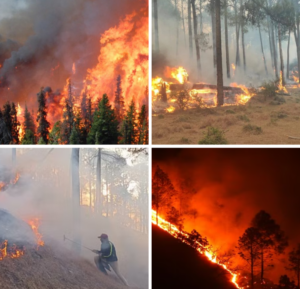 LATEST UTTARAKHAND FOREST FIRE 2024