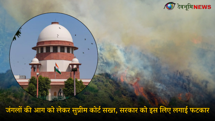 SUPREME COURT ON UK FOREST FIRE