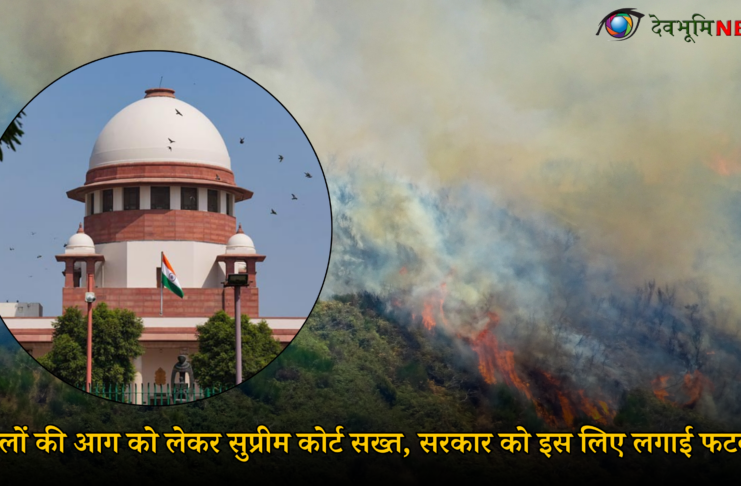 SUPREME COURT ON UK FOREST FIRE