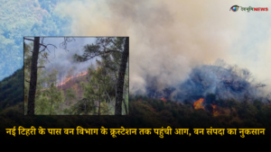 TEHRI FOREST FIRE