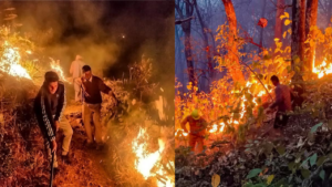 LATEST UTTARAKHAND FOREST FIRE