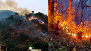 LATEST FOREST FIRE IN UTTARAKHAND