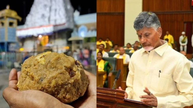 TIRUMALA TIRUPATI LADDU