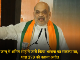 JK BJP MANIFESTO 2024