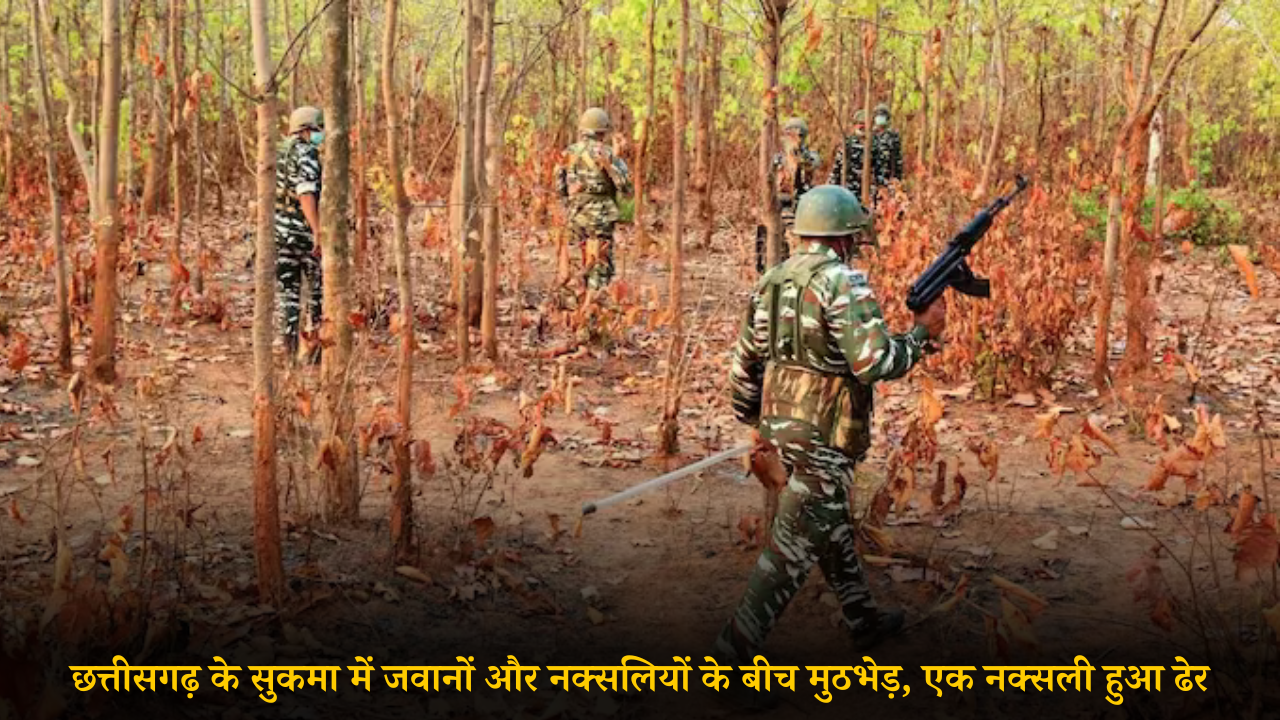 SUKMA FOREST ENCOUNTER