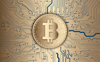 अमेरिकी राष्ट्रपति चुनावों के बीच बिटकॉइन की कीमत 75 हजार डॉलर के पार BITCOIN