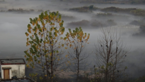 COLD WAVE IN UTTARAKHAND