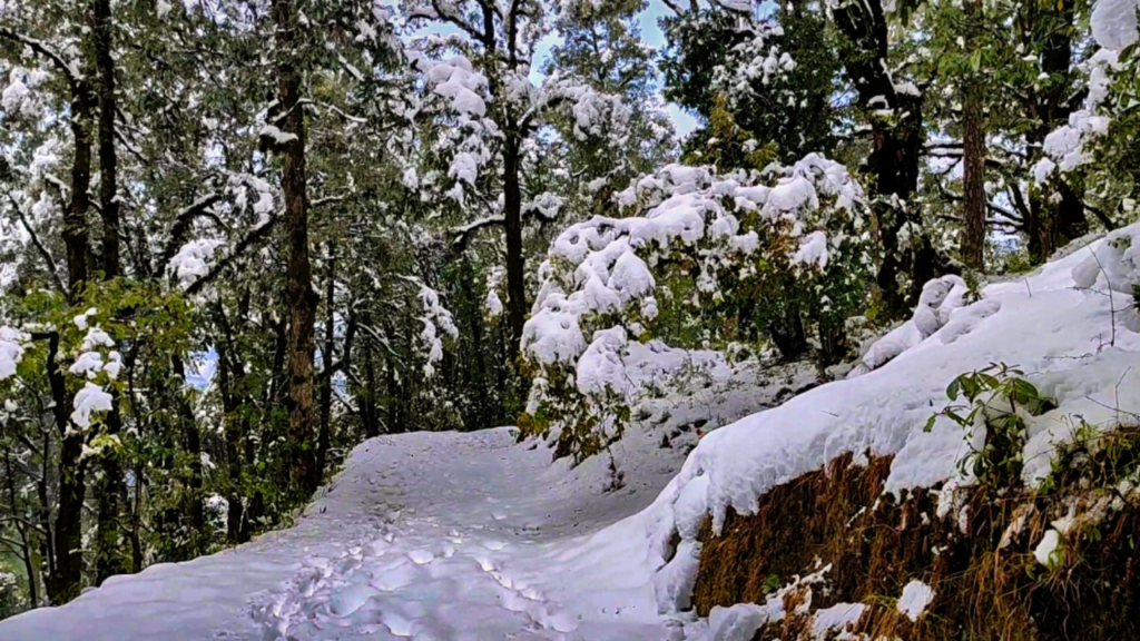 UTTARAKHAND WEATHER