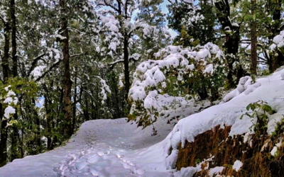 UTTARAKHAND WEATHER