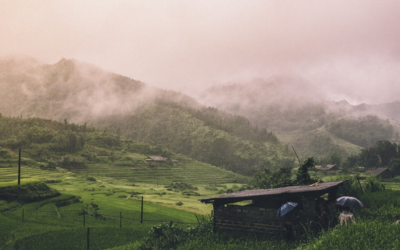 उत्तराखंड में कड़ाके की ठंड का कहर, शीतलहर और पाले से बढ़ी मुश्किलें UTTARAKHAND WEATHER ALERT