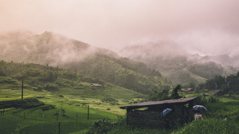 WEATHER ALERT UTTARAKHAND