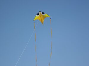 MAKAR SANKRANTI