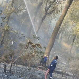 UTTARAKHAND FOREST FIRE
