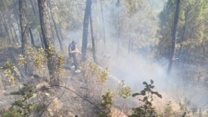 UTTARAKHAND FOREST FIRE