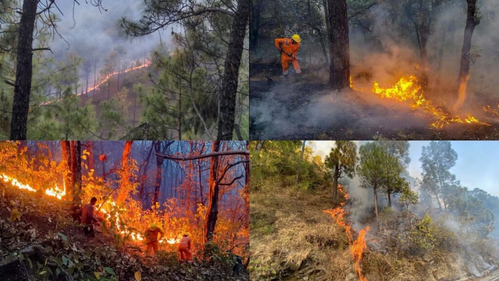 UTTARAKHAND FOREST FIRE
