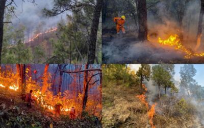 उत्तराखंड में जंगलों में आग की घटनाएं बढ़ीं, 24 घंटे में 30 हेक्टेयर जंगल जलकर खाक UTTARAKHAND FOREST FIRE