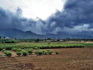 MONSOON 2025