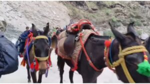 KEDARNATH YATRA