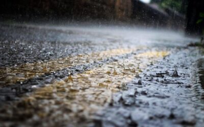 MONSOON 2025