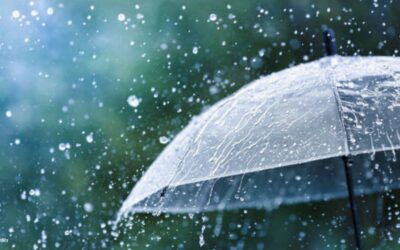 पूर्वोत्तर भारत में भारी बारिश का कहर, बाढ़ और भूस्खलन जैसे हालात MONSOON 2025