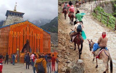 केदारनाथ यात्रा मार्ग पर घोड़े-खच्चरों की बीमारी से हड़कंप, 24 घंटे की रोक KEDARNATH YATRA