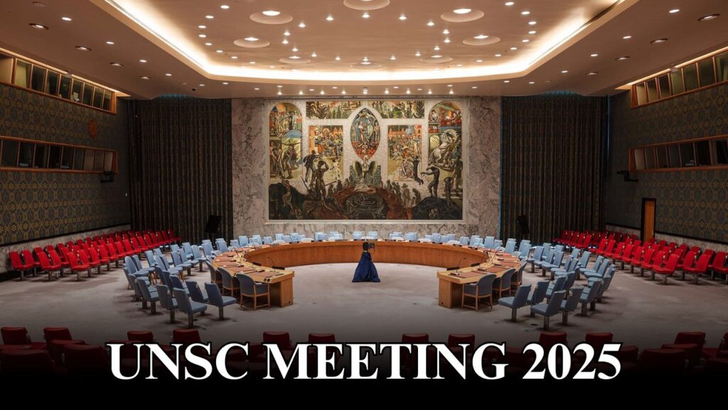 UNSC MEETING 2025