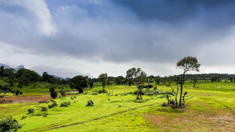 MONSOON 2025