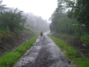 MONSOON 2025