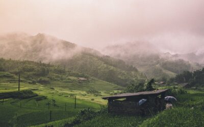 मानसून 2025: कितने तैयार हैं हम? MONSOON 2025