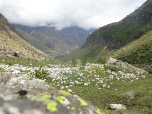 Offbeat places in Uttarakhand to visit in June 2025
