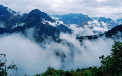 उत्तराखंड में मानसून ने दी दस्तक, इन जिलों में भारी बारिश का अलर्ट जारी UTTARAKHAND MONSOON