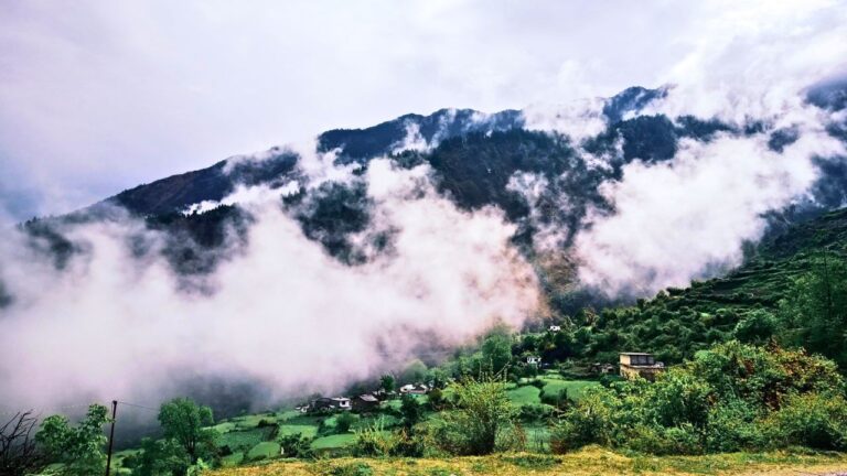 UTTARAKHAND WEATHER FORECAST