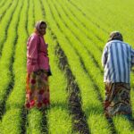 PM DHAN DHAANYA KRISHI YOJANA