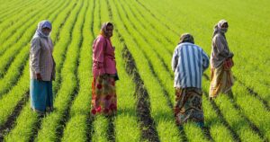 PM DHAN DHAANYA KRISHI YOJANA