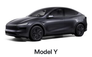 TESLA INDIA LAUNCH