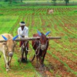 PM DHAN DHAANYA KRISHI YOJANA