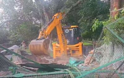 BULLDOZER ACTION
