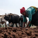 PM DHAN DHAANYA KRISHI YOJANA