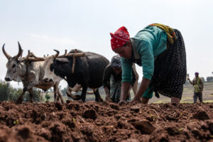 PM DHAN DHAANYA KRISHI YOJANA