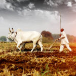PM DHAN DHAANYA KRISHI YOJANA