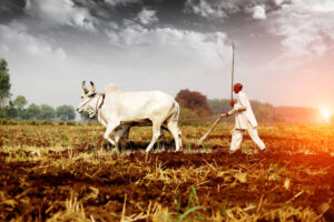 PM DHAN DHAANYA KRISHI YOJANA