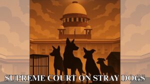 SC ON STRAY DOGS