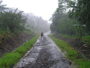 HEAVY RAIN ALERT