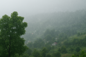 UTTARAKHAND MONSOON 2025
